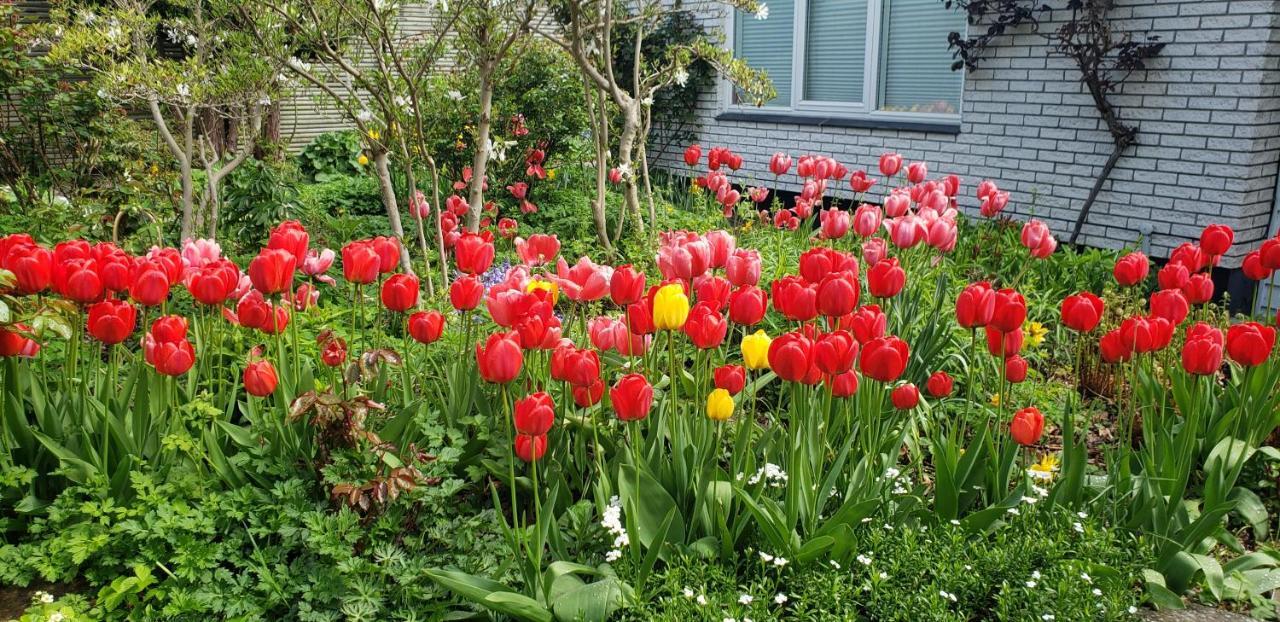 Mini-Apartment In The Flowerbed Søborg Esterno foto