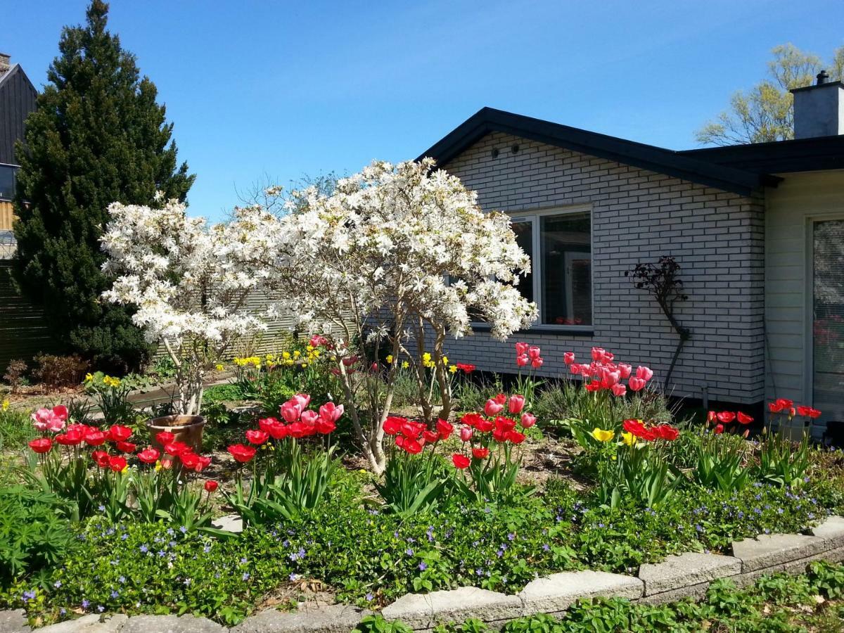 Mini-Apartment In The Flowerbed Søborg Esterno foto